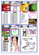 125期新乐熊猫①