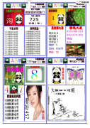 133期新乐熊猫①